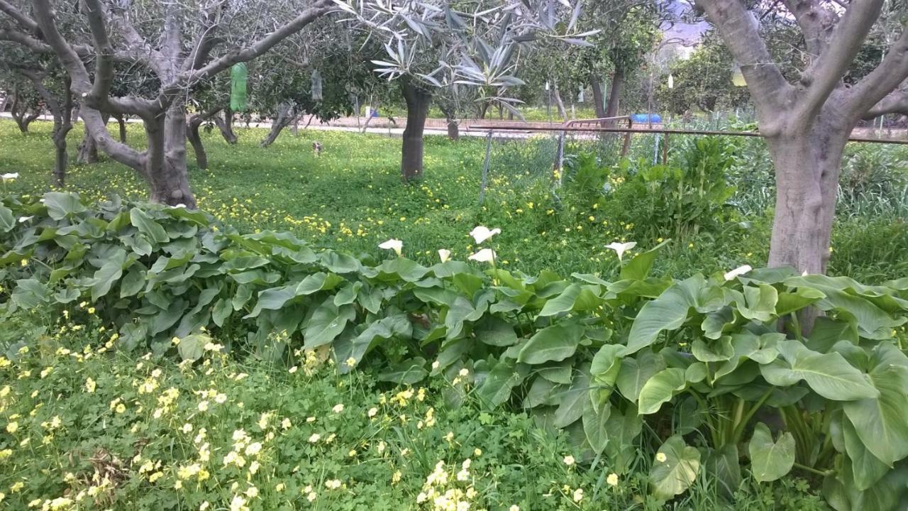 Pensjonat El Cortijo De La Abuela Benahadux Zewnętrze zdjęcie
