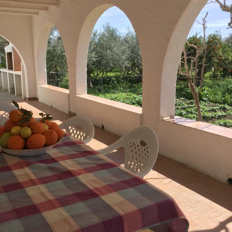 Pensjonat El Cortijo De La Abuela Benahadux Zewnętrze zdjęcie