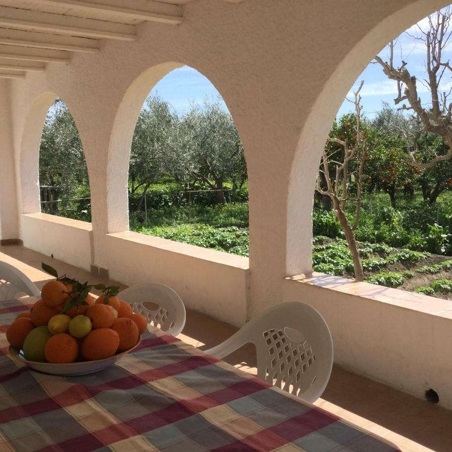 Pensjonat El Cortijo De La Abuela Benahadux Zewnętrze zdjęcie